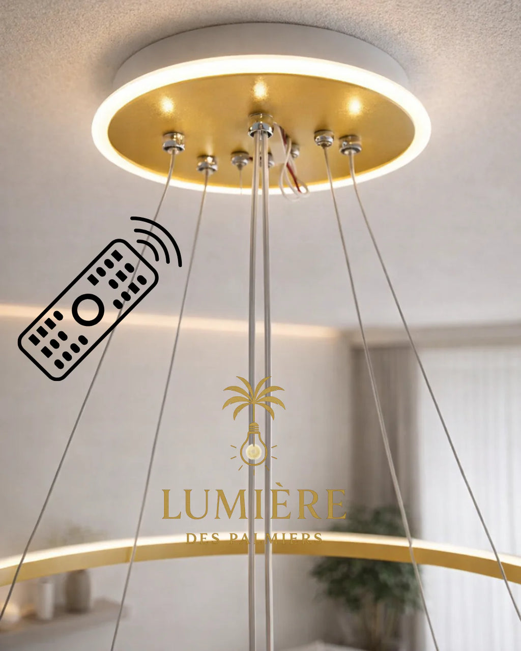 Suspension Cercle GOLD/NOIR